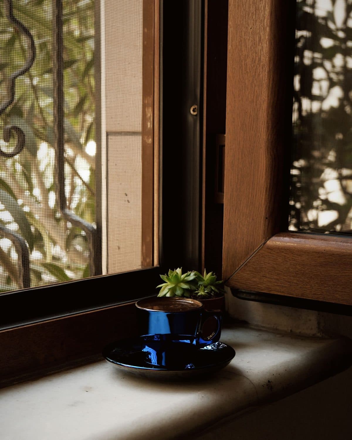 A sunlit windowsill with a coffee cup and plant